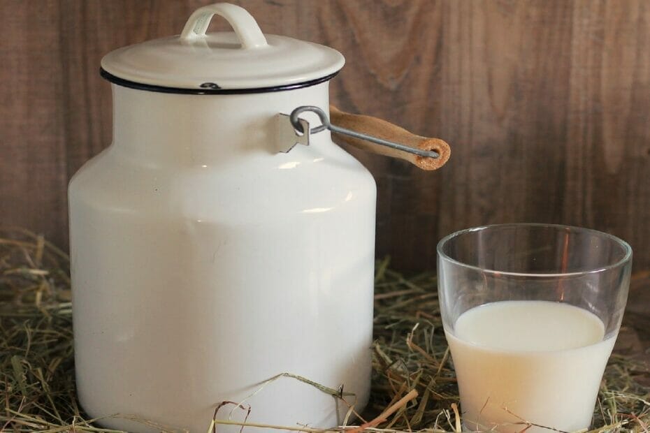 yadda ake kunun madara