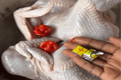 Arabian chicken 2