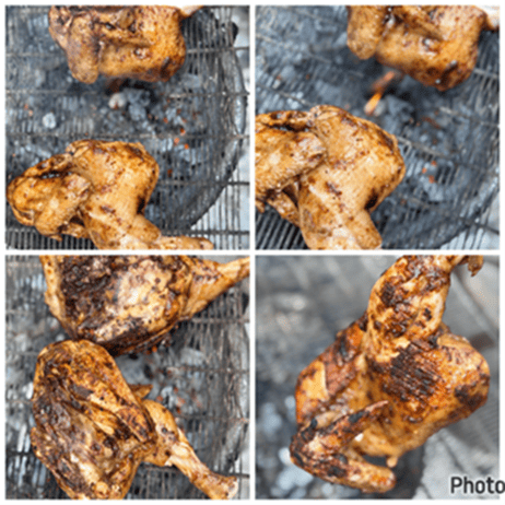 Arabian chicken 11