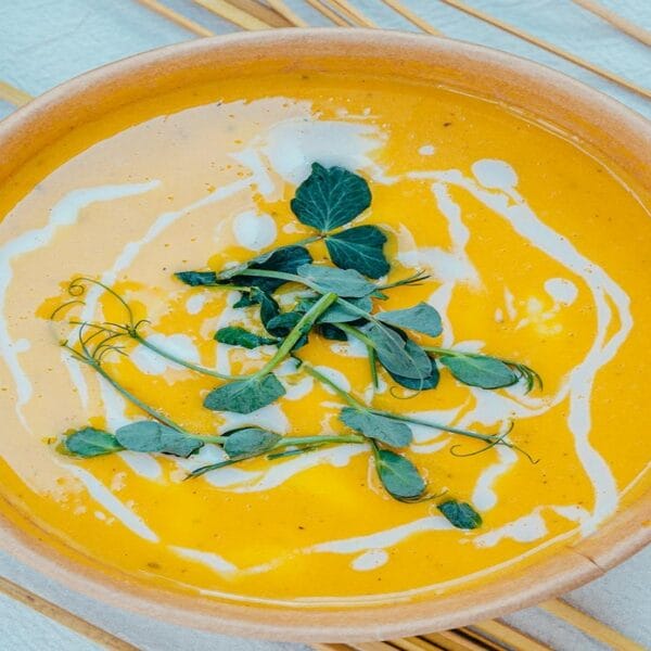 butternut squash soup
